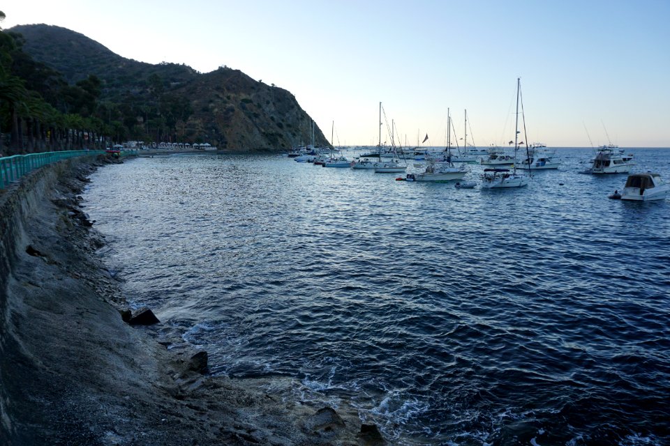 Catalina Island, CA (Unedited)