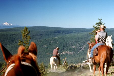 Badger Jordan Lookout Mtn trail, Mt Hood Nat'l Forest 1972