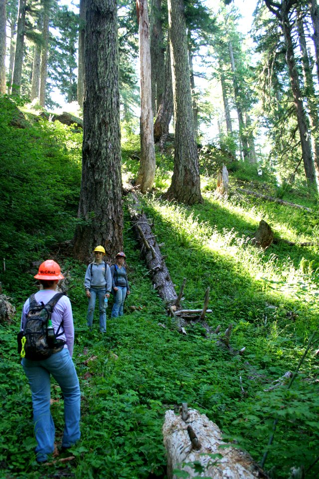 Willamette National Forest - Youth Conservation Corps Workers on Willamette-100