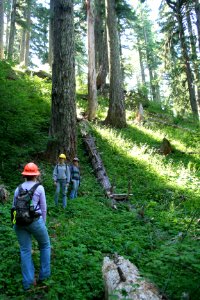 Willamette National Forest - Youth Conservation Corps Workers on Willamette-100