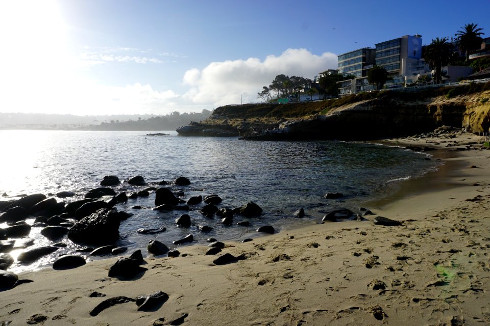 La Jolla Cove, CA (Unedited) photo