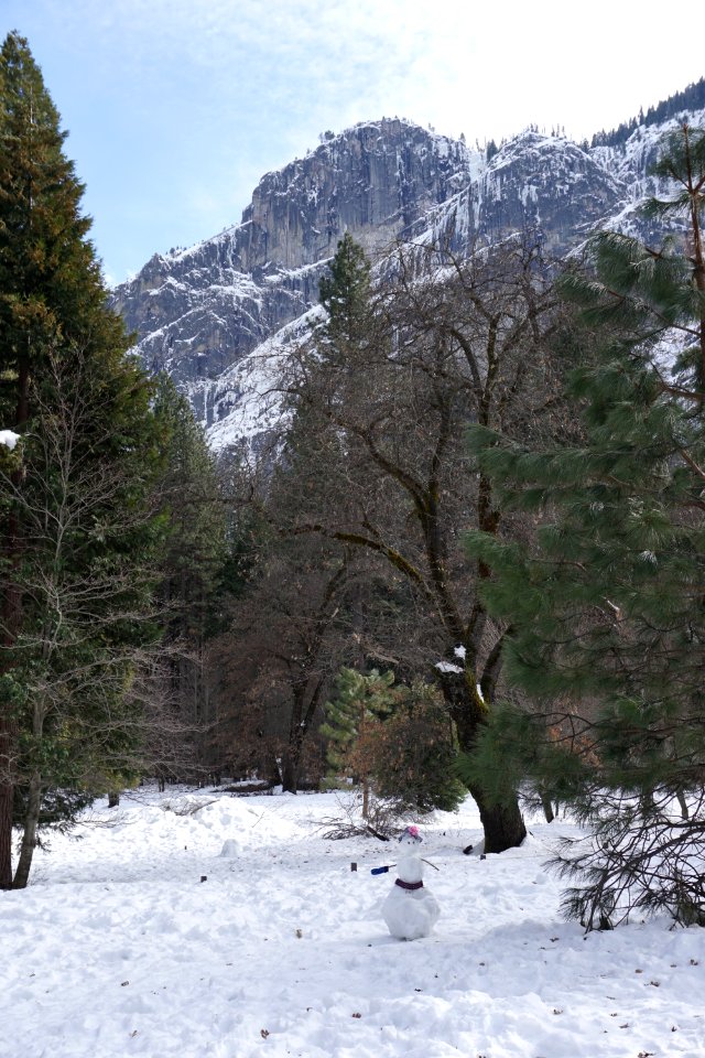 Yosemite Valley, CA (Unedited)