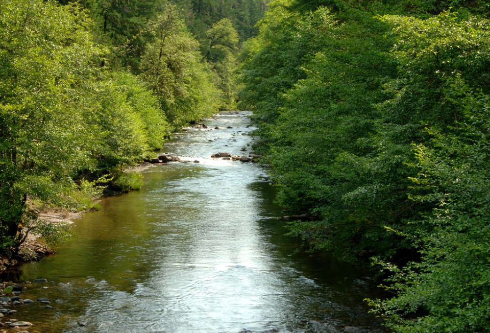 Jackson Creek, Umpqua National Forest