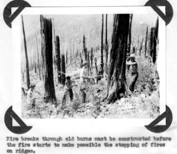 Making Fire Break in old Burn