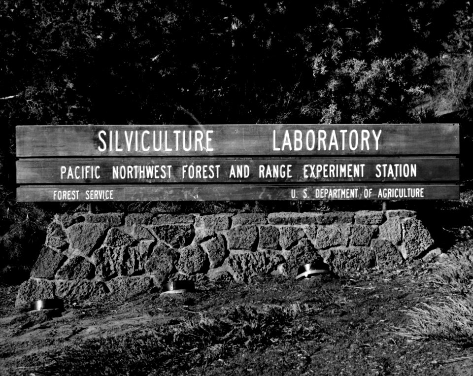 USFS Research Silviculture Laboratory near Bend, Oregon c1965
