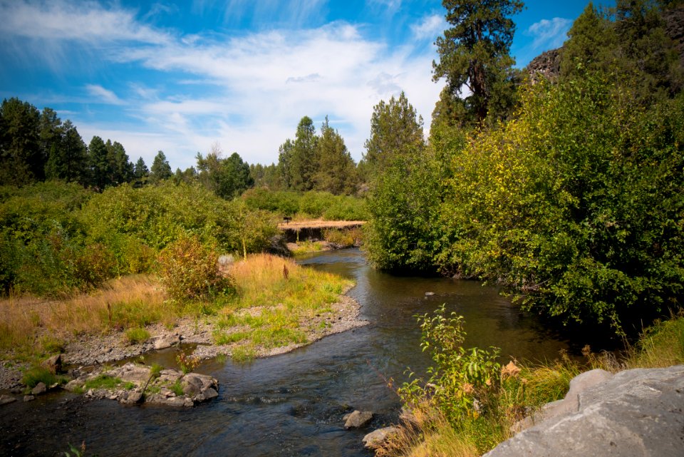 Boulders and Brush along Stream-Fremont Winema photo