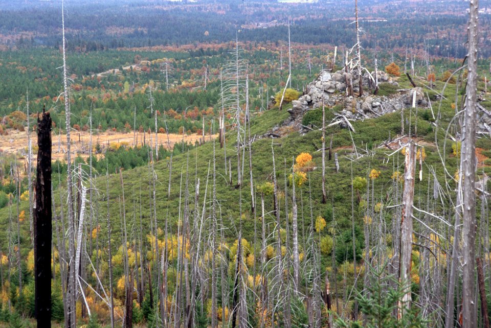 354 Mt Hood National Forest Rock Creek Fire