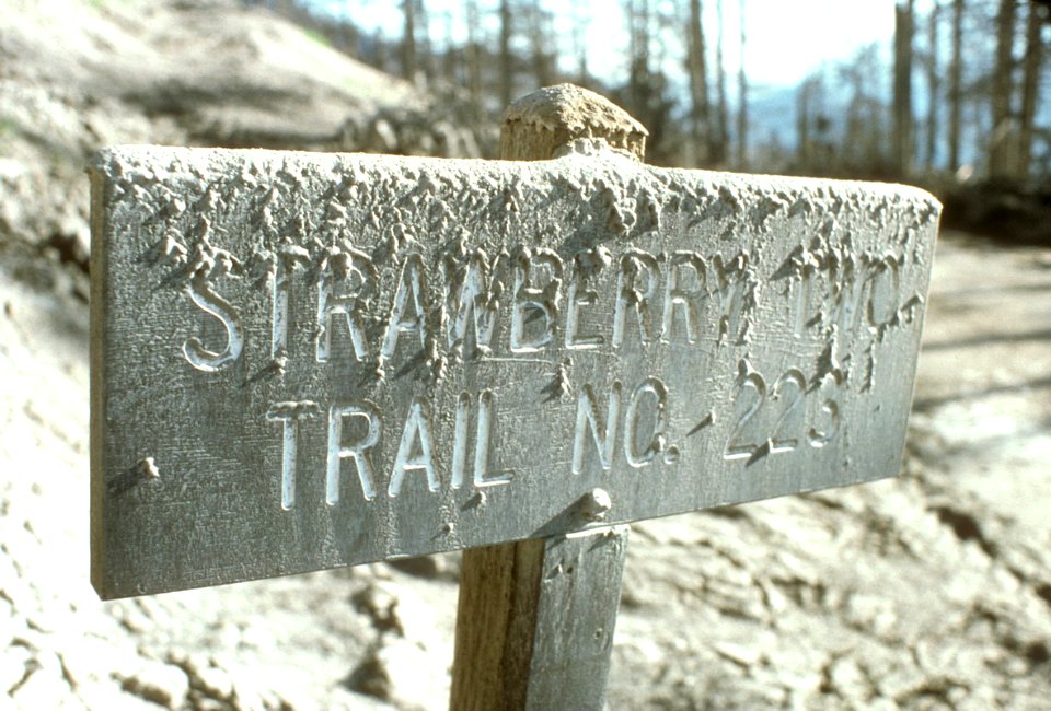 034ash covered sign resize