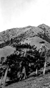 A5 p66 Ridge to Pearsoll Pk, Ingram photo 1920s