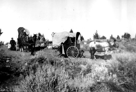 Wagons at Trail Crossing 1905