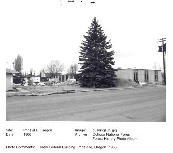 buildings05