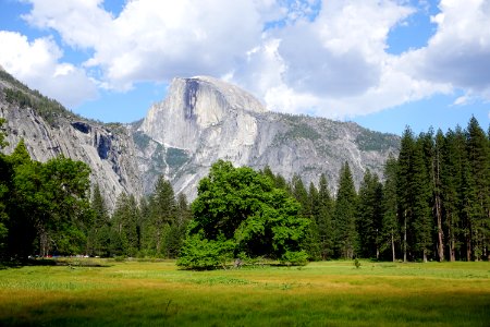 Yosemite, CA (Unedited) photo