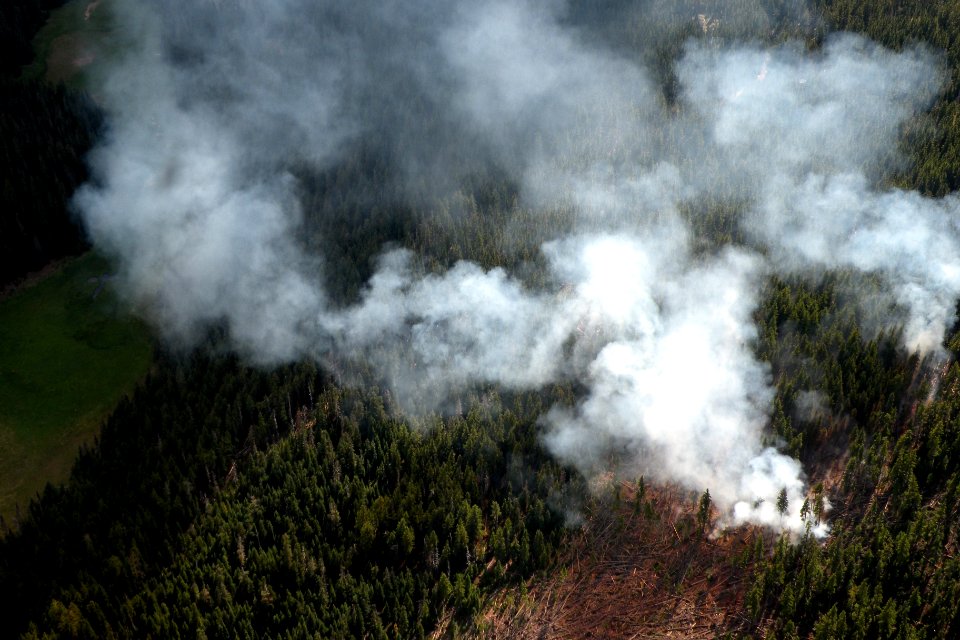 Lightning Fires, Middle Fork Ranger District-104, Willamette National Forest