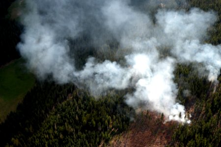 Lightning Fires, Middle Fork Ranger District-104, Willamette National Forest photo