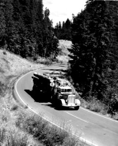 R-6 80-56-56 Log Truck, Hills Cr Rd, Willamette NF,  OR 1977