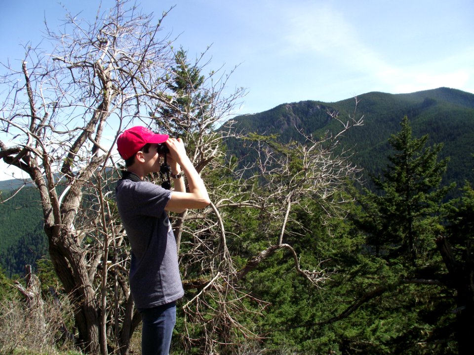 Martin Lefevre, an exchange student from France, helping conduct a butterfly survey on the Olympic National Forest
