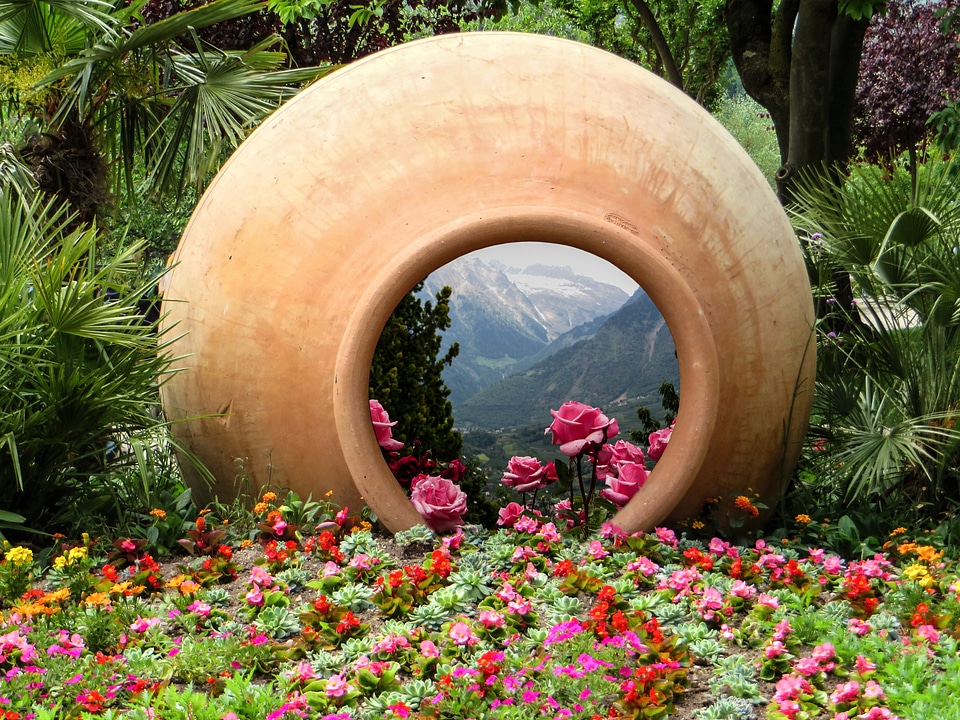 Rose nature mountains