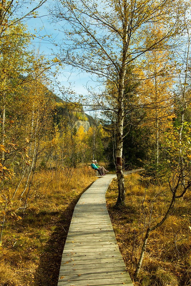 Moor fall leaves hiking