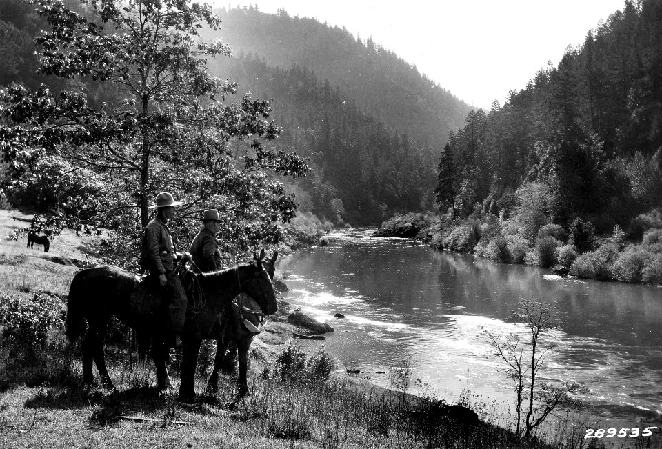289535 Mitchell & Cooper Along Rogue River, Siskiyou NF, OR