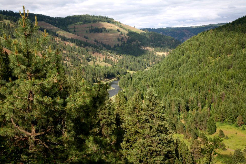 Grande Ronde River, Umatilla National Forest