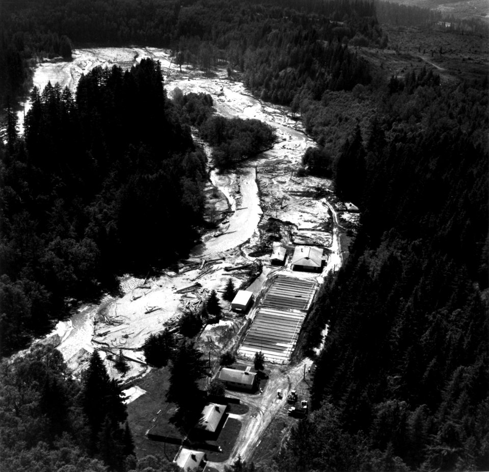 529700 Mt St Helens Mud Flow, Hatchery, 6-28-1980, GPNF, WA
