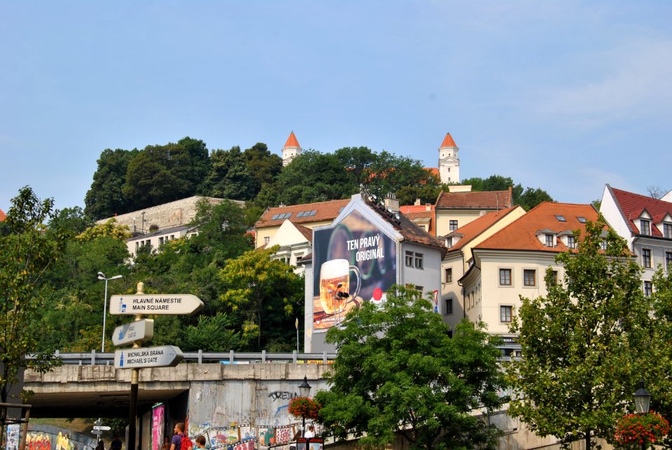 DSC 0060
