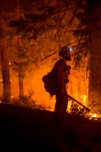 Firefighter, Umpqua National Forest Fires, 2017
