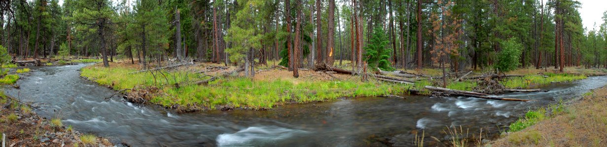 Deschutes National Forest, Whychus Creek restoration panorama after.jpg photo