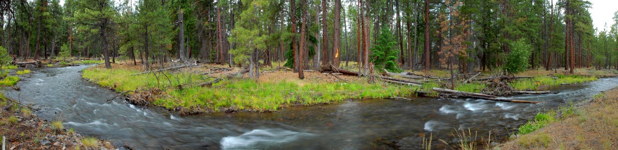 Deschutes National Forest, Whychus Creek restoration panorama after.jpg