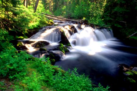 Deschutes National Forest  Trapper Creek
