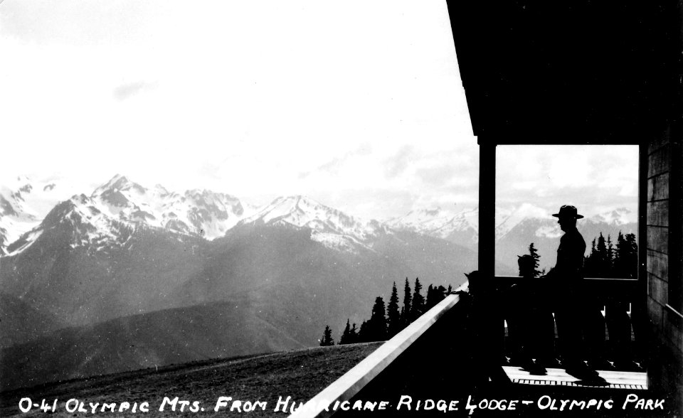 O-41 Olympic Mts. from Hurricane Ridge Lodge, Olympic NP, WA