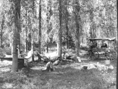 Y-2-81 ©SOSH2448 Wagon campers, Diamond Lake Rd  ca.1890