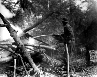 393522 CCC Fighting Fire, Columbia NF, WA 1937 photo