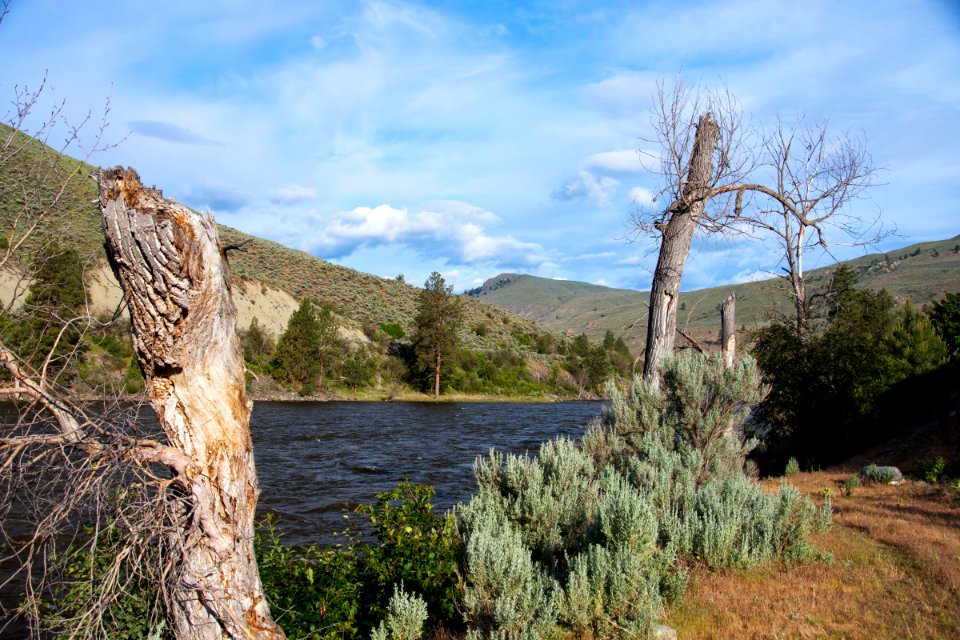 Looking upstream on the Similkameen River from the BLM boat launch