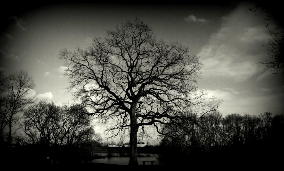 Bords de Loire 03-03-2018 18-43-24