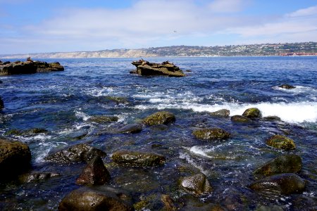 La Jolla Cove, CA (Unedited) photo