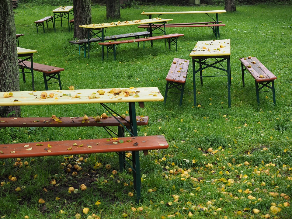 Garden seat autumn