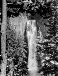 483455 Salt Creek Falls, 286 Feet High, Willamette NF, OR 1957 photo