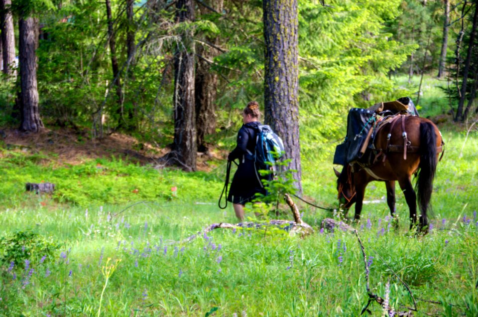 Wilderness Stewardship Skills Training at Mt Adams Ranger District-197 photo