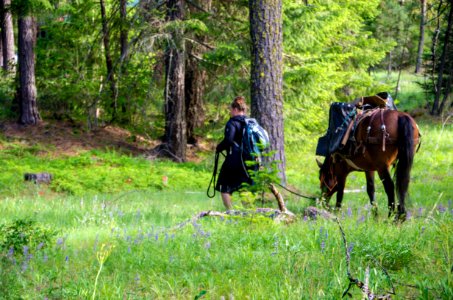 Wilderness Stewardship Skills Training at Mt Adams Ranger District-197