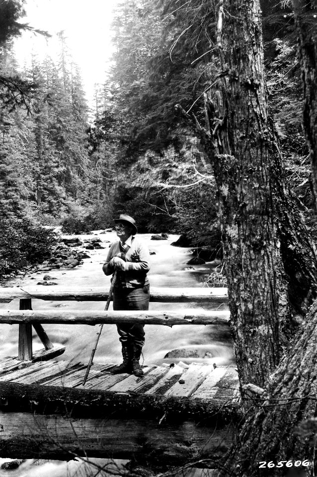 265606 C.C. Hall, Santiam NF, OR 1932