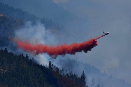 South Umpqua Complex