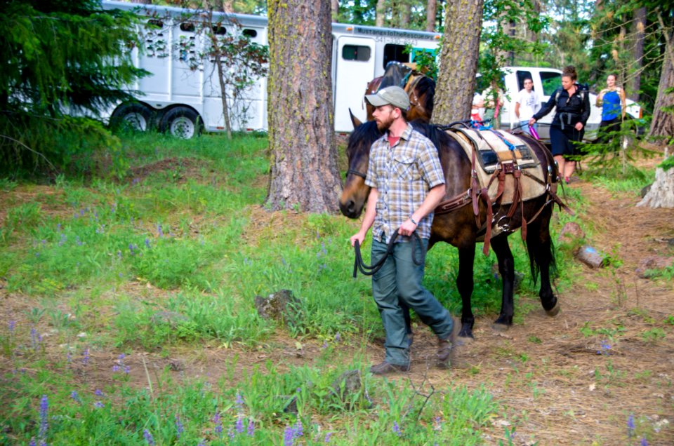 Wilderness Stewardship Skills Training at Mt Adams Ranger District-182 photo