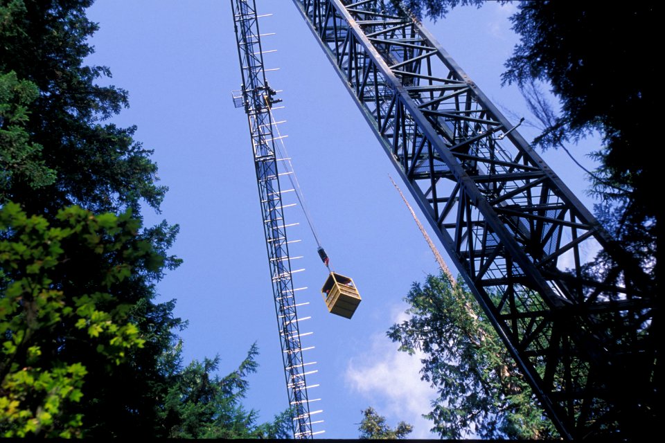 Gifford Pinchot NF - Old Growth canopy crane