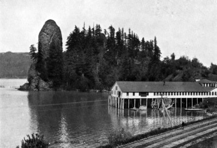 Rooster Rock, Columbia River (2)
