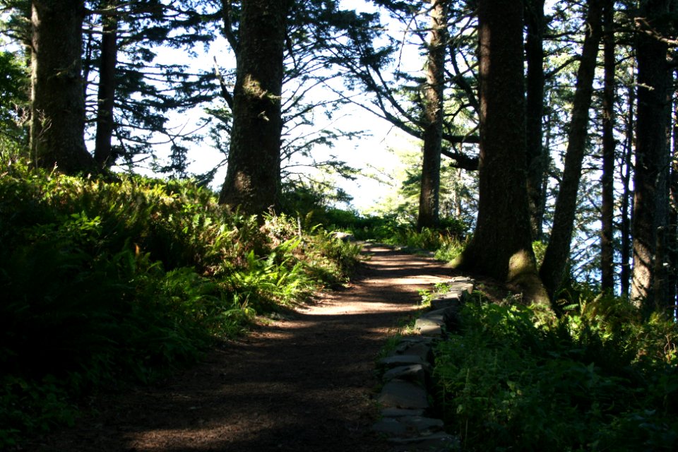 Whispering Spruce Trail at Cape Perpetua, Siuslaw National Forest