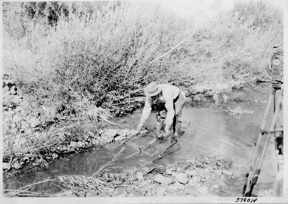 1936 Ochoco 08 25 Beaver 001