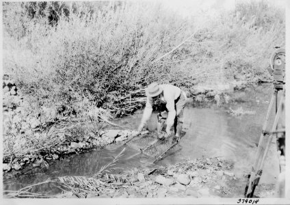 1936 Ochoco 08 25 Beaver 001