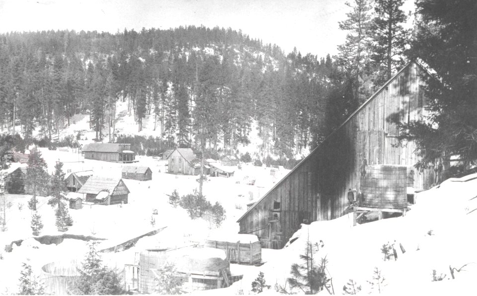 mine mayflower10