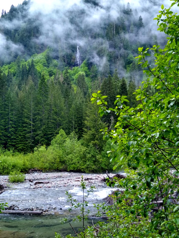 Sauk River and Waterfall, Mt. Baker-Snoqualmie National Forest. Photo taken by Anne Vassar June 16, 2020